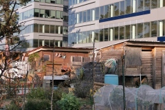 Bagneux-Jardin-partage-4