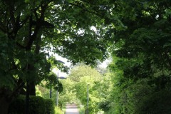 Chatillon-Coulee-verte-5