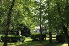 Chatillon-Parc-Henri-Matisse-1