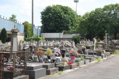 Chevilly-la-Rue-Cimetiere-intercommunal-15