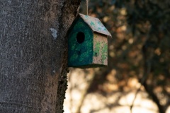 Fresnes-Jardin-de-Zarzis-3