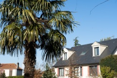 Fresnes-Maison-4