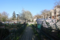Le-Kremlin-Bicetre-Jardin-partage-3