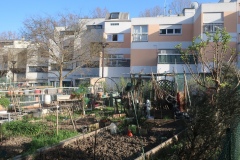 Le-Kremlin-Bicetre-Jardin-partage-4