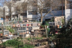 Le-Kremlin-Bicetre-Jardin-partage-5