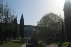 Le-Kremlin-Bicetre-Parc-Pinel-6