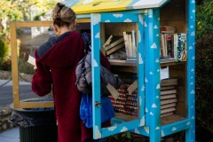Le-Plessis-Robinson-Boite-a-livres