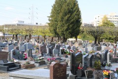 Le-Plessis-Robinson-Cimetiere-4