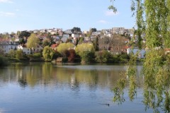 Le-Plessis-Robinson-Etang-Colbert-2