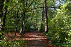 Le-Plessis-Robinson-Parc-Henri-Sellier-5