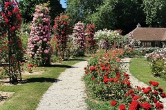 L_Hay-les-Roses-Roseraie-15