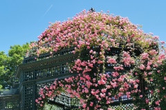 L_Hay-les-Roses-Roseraie-18