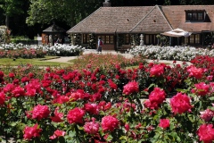 L_Hay-les-Roses-Roseraie-19
