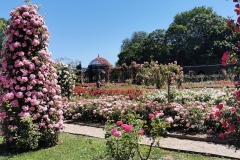 L_Hay-les-Roses-Roseraie-23