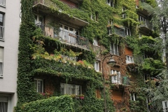Montrouge-7