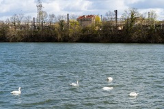 Villeneuve-le-Roi-Bords-de-Seine-1