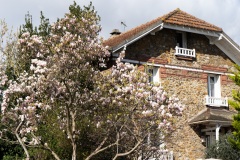 Villeneuve-le-Roi-Pavillons-et-Villas-2