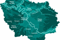 C1_DP1_I3_carte