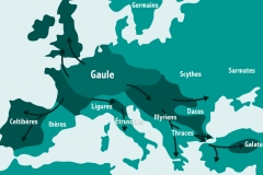 C1_DP6_I1_carte
