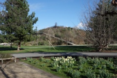 Ivry-sur-Seine-Parc-des-Cormailles-1