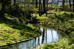 Orly-Parc-Melies-5
