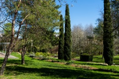 Thiais-Parc-de-Cluny-3