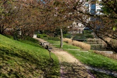 Thiais-Parc-de-Cluny-6