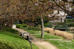 Thiais-Parc-de-Cluny-7