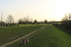 Villejuif-Parc-des-hautes-bruyeres-6