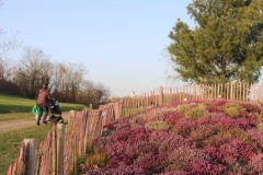 Villejuif-Parc-des-hautes-bruyeres-7